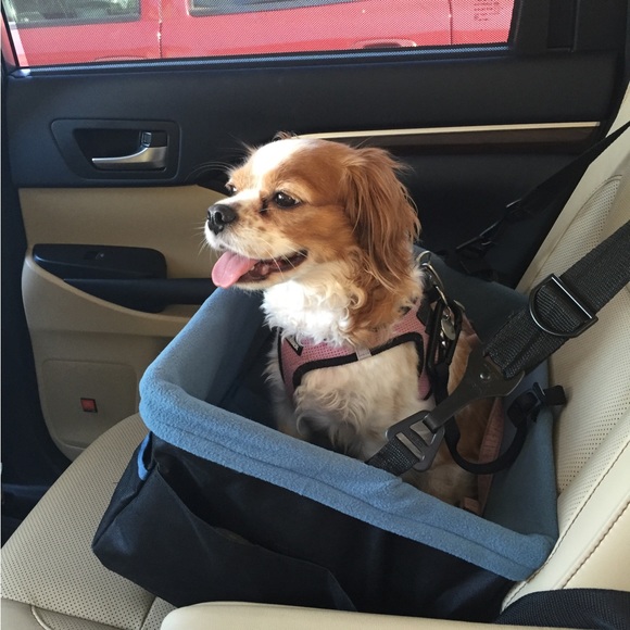 Meet your Posher, Brenda - Picture 5 of 12